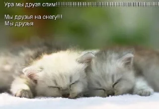 😘 emoji ибрагим долбаеб Telegram sticker 11 of 29