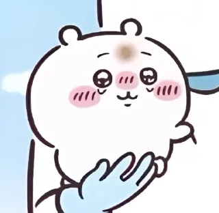 🫂 emoji omg im literally chiikawa af
@muuko Telegram sticker 20 of 90