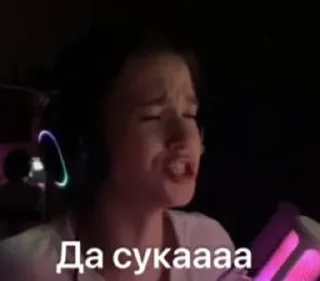 Sticker from Саша-Saшлык. twitch.tv/ssellv1