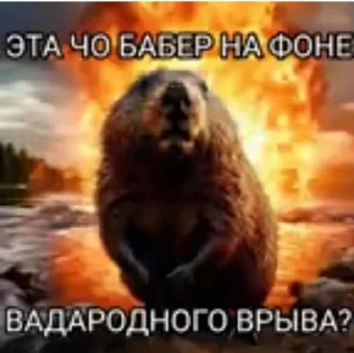 Sticker from мопсiх