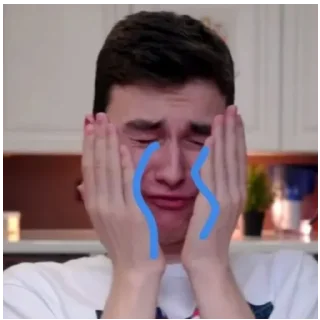😭 emoji Брайн Мапс Telegram sticker 5 of 21