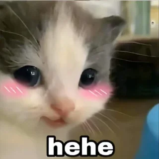 😌 emoji He-he Telegram sticker 19 of 33