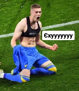 Sticker from Збірна України 🫶🏻