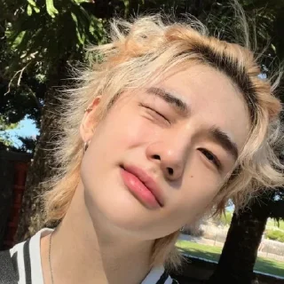 Sticker from Stray kids