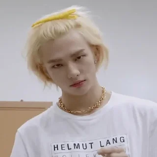🙃 emoji Stray Kids Telegram sticker 22 of 79