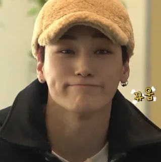 🙂 emoji ateez clown's Telegram sticker 23 of 119