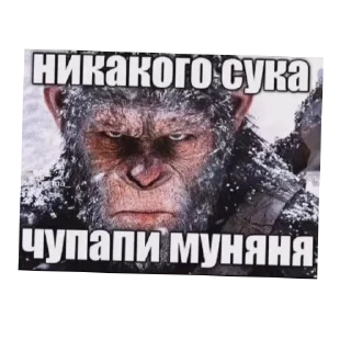 🖼 emoji пидорас Telegram sticker 15 of 53