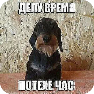 🖼 emoji пидорас Telegram sticker 12 of 53