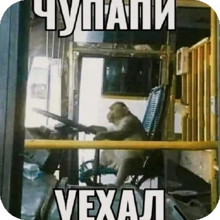 🖼 emoji пидорас Telegram sticker 13 of 53