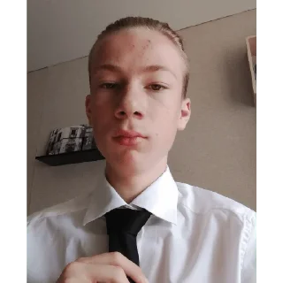 🎩 emoji цвет нации чек Telegram sticker 5 of 110