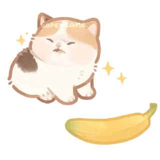 😖 emoji Котики / @Stick4GramProjects Telegram sticker 12 of 90