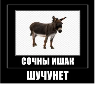 Sticker from ДАРОГУ БАРАНЫ