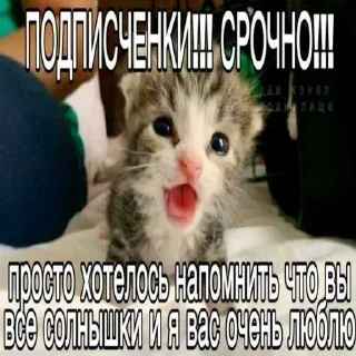 💓 emoji anasstasyushka ➡️ @Ctikerubot Telegram sticker 7 of 26