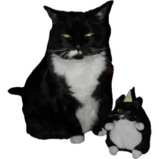 😼 emoji Мама/я/ебанат — @stckrRobot Telegram sticker 12 of 59