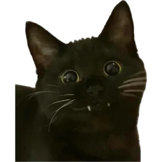 😄 emoji Мама/я/ебанат — @stckrRobot Telegram sticker 4 of 59