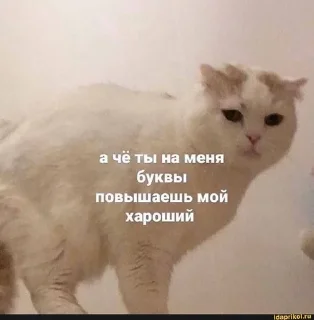 🥲 emoji я в шоке Telegram sticker 19 of 43