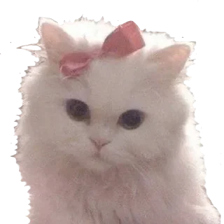 🐱 emoji cuteee >> @diaryfromveksi ⭐️🤍 ➡️ @Ctikerubot Telegram sticker 4 of 53