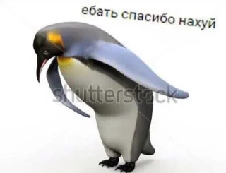 Sticker from Ты что Даун