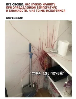 🤩 emoji Мемы часть 2 https://t.me/er_9_tm @TgEmodziBot Telegram sticker 23 of 120