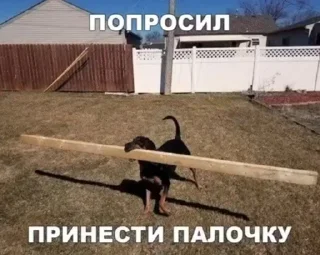 🤩 emoji Мемы часть 2 https://t.me/er_9_tm @TgEmodziBot Telegram sticker 3 of 120