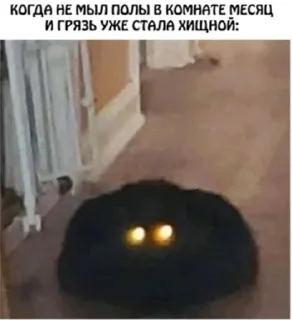 🤩 emoji Мемы часть 2 https://t.me/er_9_tm @TgEmodziBot Telegram sticker 14 of 120