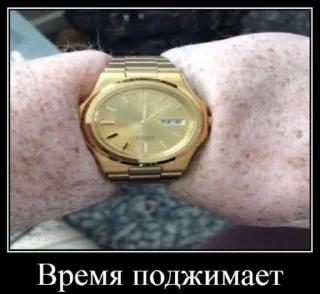 🤩 emoji Мемы часть 3 https://t.me/er_9_tm @TgEmodziBot Telegram sticker 14 of 120