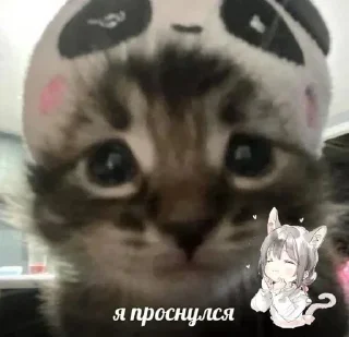 🥱 emoji Больше стиков тут: @stikery4 Telegram sticker 7 of 40