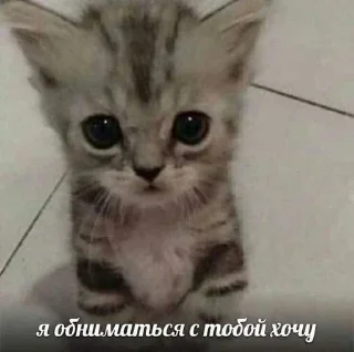 🥺 emoji Больше стиков тут: @stikery4 Telegram sticker 22 of 40
