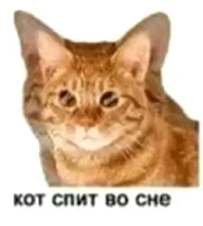 😵‍💫 emoji Больше стиков тут: @stikery4 Telegram sticker 24 of 42