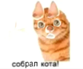 🤨 emoji Больше стиков тут: @stikery4 Telegram sticker 10 of 42