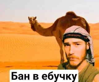 Sticker from Чацка оборжацка