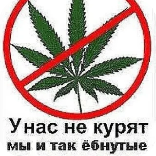 🖼 emoji ебучий шакал Telegram sticker 19 of 41