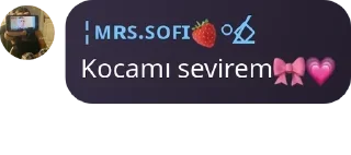 🎀 emoji Sofi'nin qr'ları Telegram sticker 1 of 21