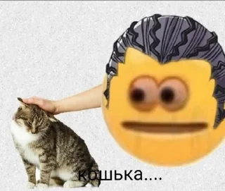 🐱 emoji дай потрогать by @TheTimoha007 Telegram sticker 5 of 13