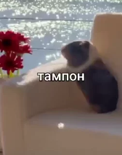 Sticker from крутои мак