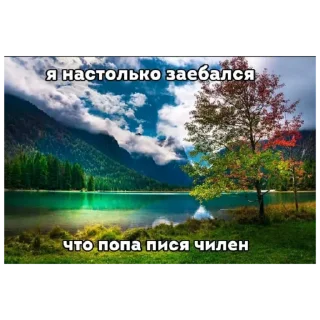 Sticker from йомаьо пон пися сися попа кака чилеен