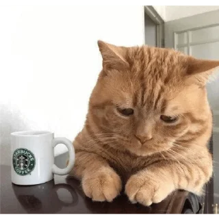 Sticker from Tired cat