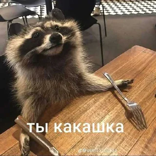 🙈 emoji енотики ➡️ @Ctikerubot Telegram sticker 5 of 59