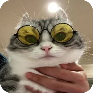 👍 emoji Пупсик Telegram sticker 8 of 31