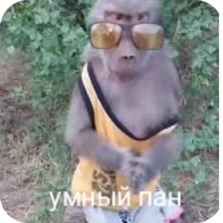 🌴 emoji Пупсик Telegram sticker 15 of 31