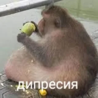 Sticker from Пупсик