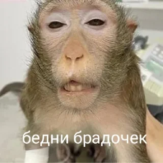 🥲 emoji Пупсик Telegram sticker 7 of 31