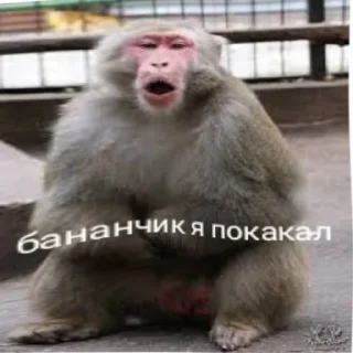 Sticker from Пупсик