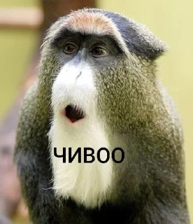 🌟 emoji брадке Telegram sticker 23 of 38