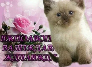 🤬 emoji Ядерные открытки :: @siogiso Telegram sticker 12 of 14