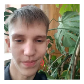 🙂 emoji буйный володька Telegram sticker 10 of 16