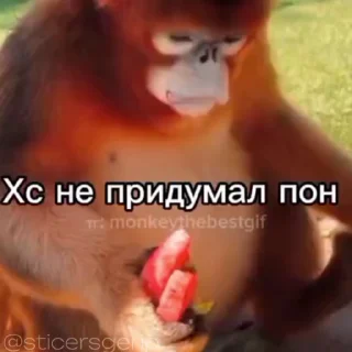 😘 emoji • обезьянки • » @sticersgerip « Telegram sticker 22 of 50