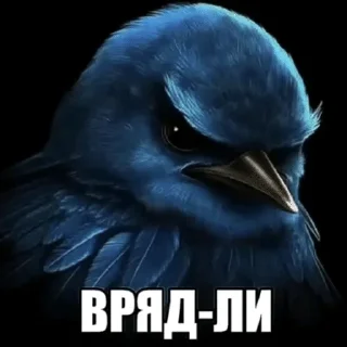 Sticker from слей птички
