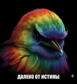 Sticker from слей птички