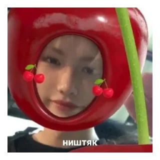 🐥 emoji наши любимки @vlrmsvv Telegram sticker 14 of 94